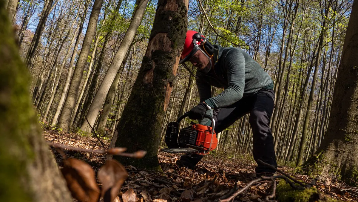 Seasonal Sawmill Payroll: Managing Temporary Logging and Milling Staff During Peak Season