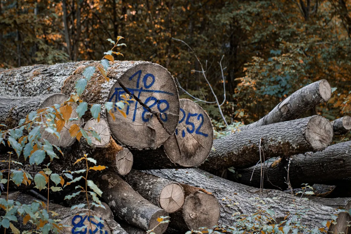 Timber Depletion and Land Cost Basis: Bookkeeping for Mills That Harvest Their Own Logs